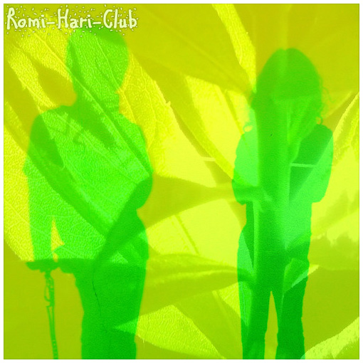 Romi-Hari-Club